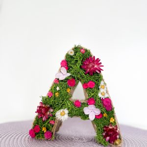 Letra A preservada – Inspirada en la naturaleza