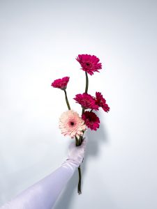 Ramo de Gerberas