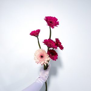 Ramo de Gerberas