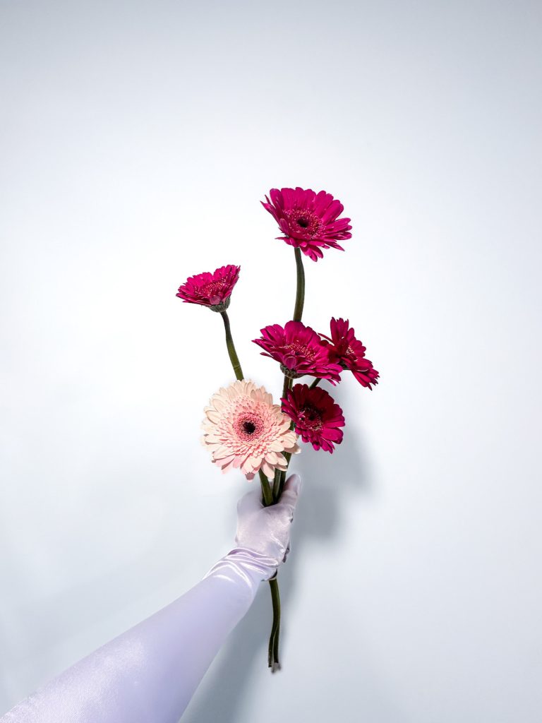 Ramo de Gerberas