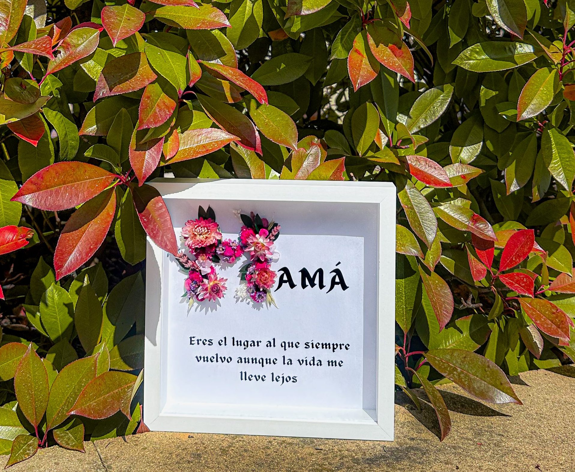 Marco con flores preservadas - Imagen 2